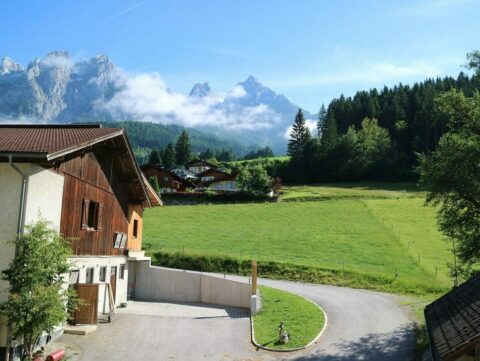 Bio Bauernhof Einberghof Österreich Pfarrwerfen e1676896333653