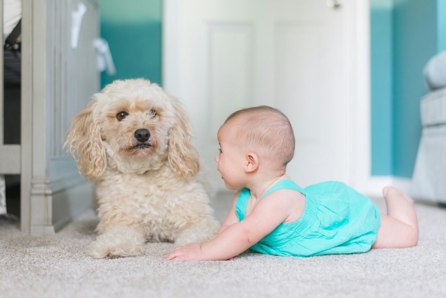 Ein Hund ist für viele Familien das favorisierte Haustier