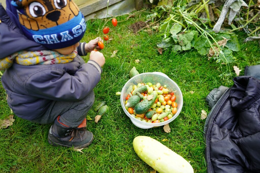 Beim Gärtnern mit Kindern gibt es reiche Beute