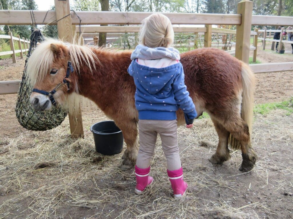 center-parcs-erperheide-pony-urlaub